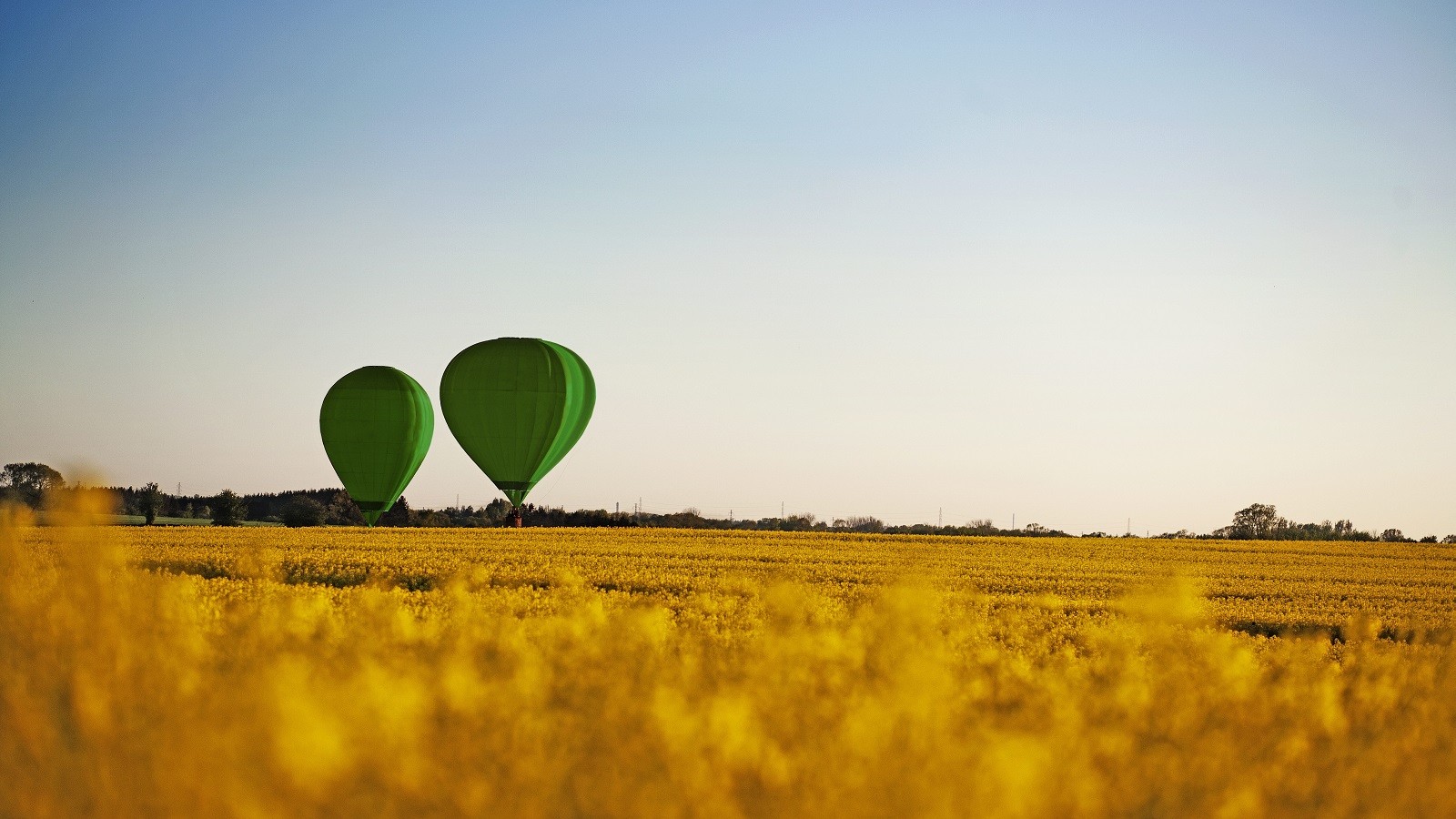 Two hot air balloons over a field